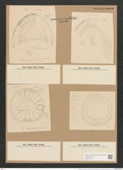Campylodiscus latus Shadb. (de-Toni-Nr.: Genus 57, Species 2460) Zeichnungen Sammlung Grunow Nr. 4958 (NHMW-BOT-W0373179)